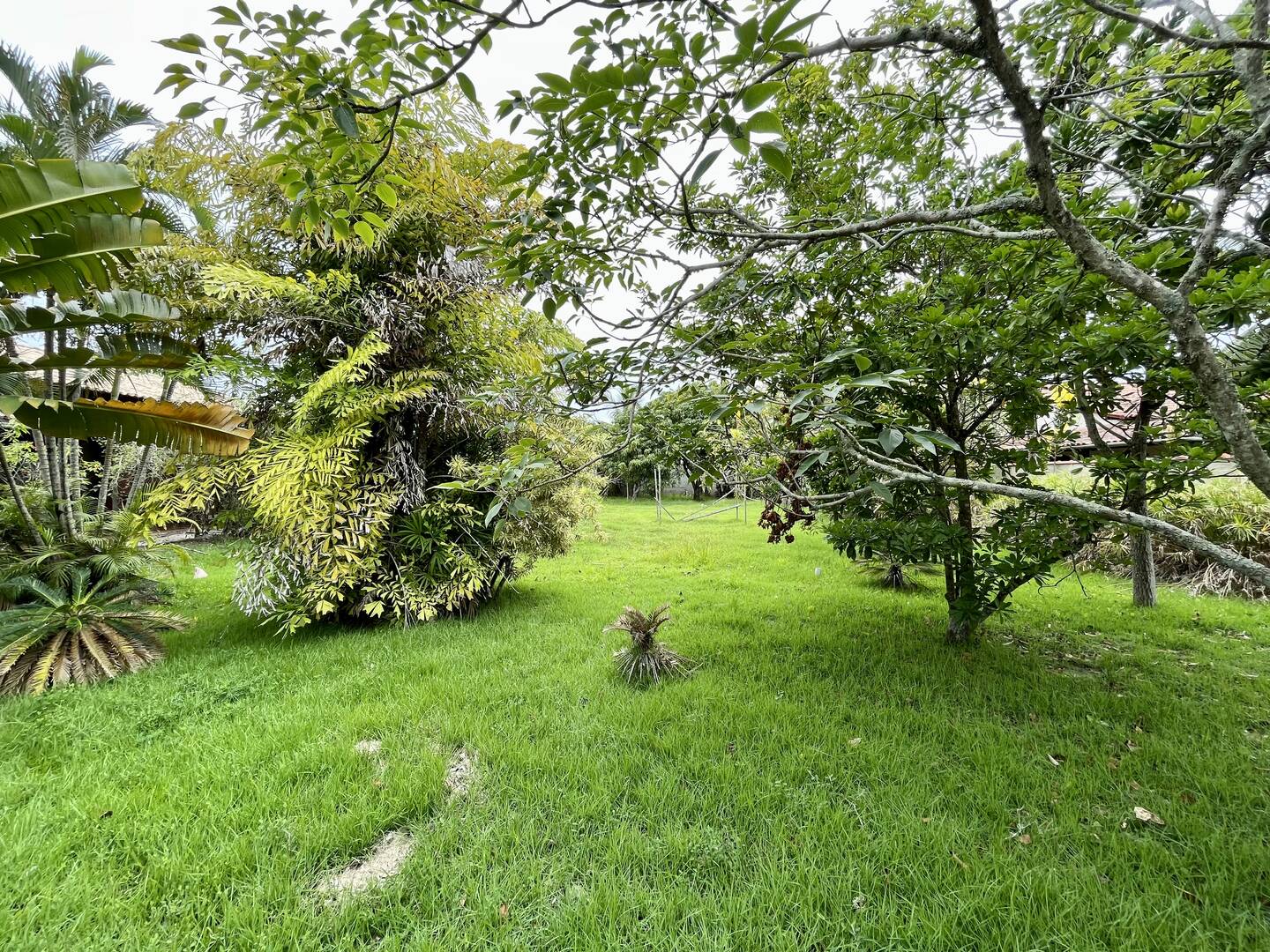 Terreno à venda, 900m² - Foto 3